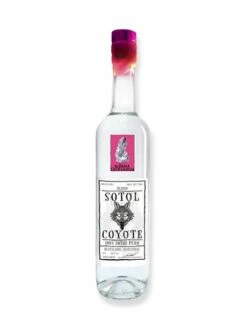 Coyote Sotol Blanco Chihuahua 100pf